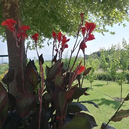 Albina's Luxury 3 Bedroom * 卡尼奥提