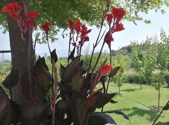 Albina's Luxury 3 Bedroom * Chaniotis